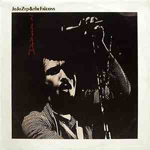 Jo Jo Zep and the Falcons - Don't Waste It flac album