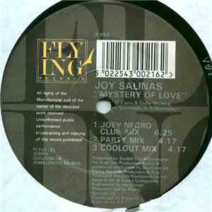 Joy Salinas - The Mystery Of Love (Joey Negro Remix) flac album