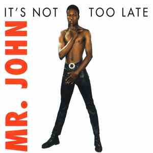Mr. John - It's Not Too Late flac album