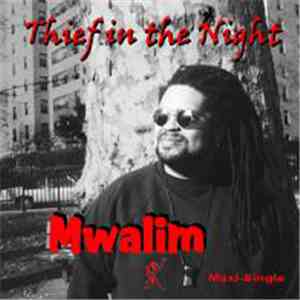 Mwalim - Thief in the Night flac album