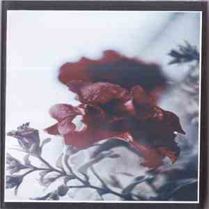 My Lonely Sea - Till The End Of The Road flac album