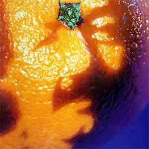 Phish - A Picture Of Nectar flac album
