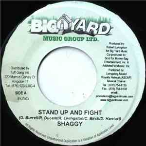 Shaggy - Stand Up And Fight flac album