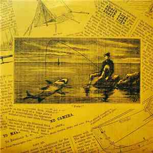 Shark Toys - Stayed Up flac album