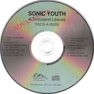 Sonic Youth - A Thousand Leaves flac album