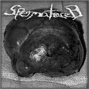 Spermatocele - Spermatocele flac album
