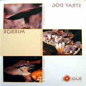 Stray Dog - Mirror flac album