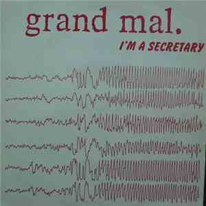 Synthadelic - I'm A Secretary flac album