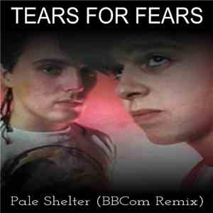 Tears For Fears - Pale Shelter (BBCom Remix) flac album