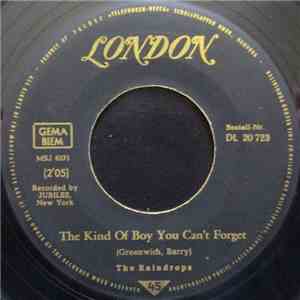 The Raindrops - The Kind Of Boy You Can't Forget / Even Though You Can't Dance flac album