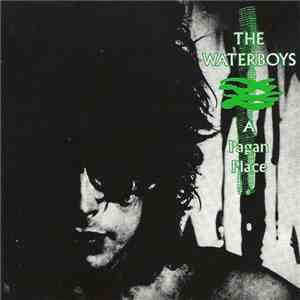 The Waterboys - A Pagan Place flac album