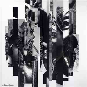 Theo Parrish / Pirahnahead / Craig Huckaby - Black Music flac album