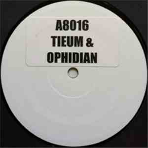 Tieum & Ophidian - Distorted Information flac album