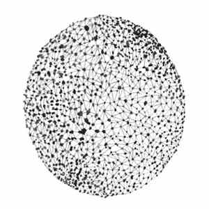 Tilman Robinson - Network Of Lines flac album