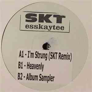 T-Pain - I'm Sprung (S.K.T Remix) flac album