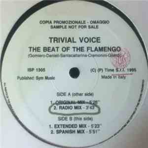 Trivial Voice - The Beat Of The Flamenco flac album