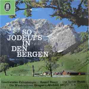 Various - So Jodelt's In Den Bergen flac album