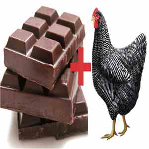 XoArK - Choco-chicken flac album