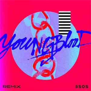 5 Seconds Of Summer - Youngblood (R3HAB Remix) flac album
