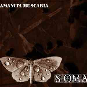 Amanita Muscaria - Soma flac album