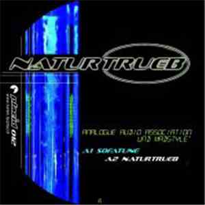 Analogue Audio Association - Naturtrueb flac album