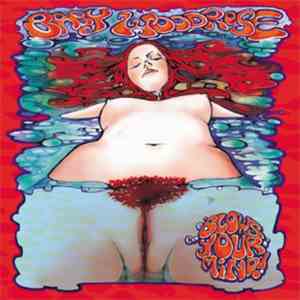 Baby Woodrose - Blows Your Mind! flac album