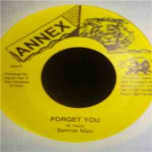 Beenie Man - Forget You flac album