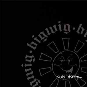 Bigwig - Stay Asleep flac album