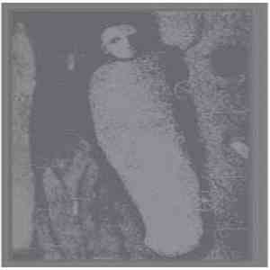 Cendres - Ungeziefer flac album