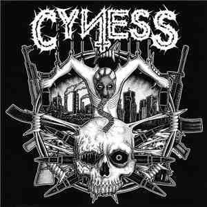 Cyness / P.L.F. - Cyness / P.L.F. flac album