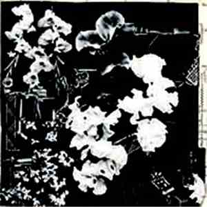 Ergo Phizmiz - Two Quartets flac album