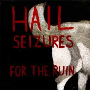 Hail Seizures - For The Ruin flac album