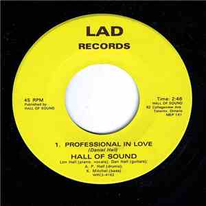 Hall Of Sound - Professional In Love flac album