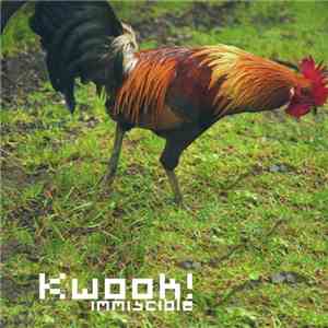 Kwook - Immiscible flac album