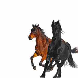 Lil Nas X Feat. Billy Ray Cyrus - Old Town Road (Remix) flac album