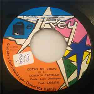 Lorenzo Castillo - Gotas De Rocio / La Mala Suerte De Juana flac album