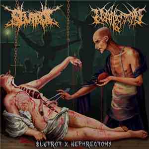 $lutrot & Nephrectomy - $lutrot X Nephrectomy flac album