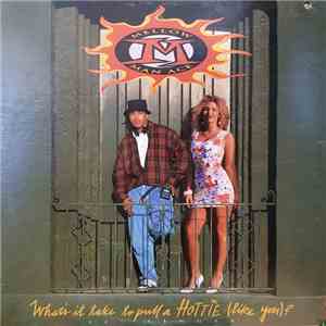 Mellow Man Ace - What's It Take To Pull A Hottie (Like You)? flac album