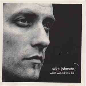 Mike Johnson  - What Would You Do flac album
