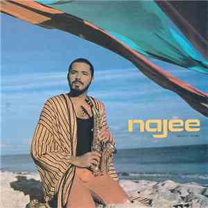 Najee - Najee's Theme flac album