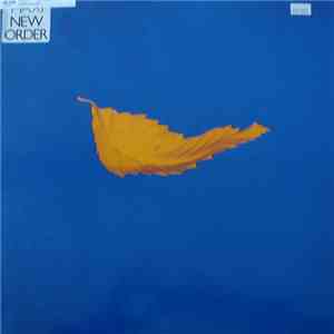 New Order - True Faith flac album