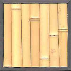 Pierre Estève - Bamboo flac album