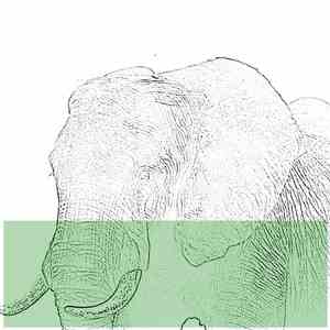 Platybelodon - Untitled flac album