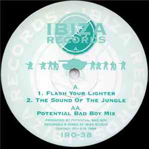 Potential Bad Boy - Flash Your Lighter flac album