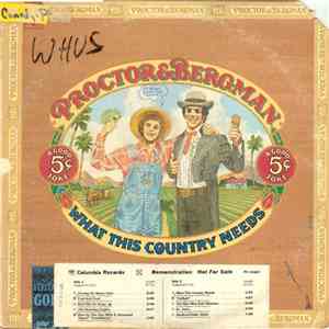 Proctor & Bergman - What This Country Needs flac album