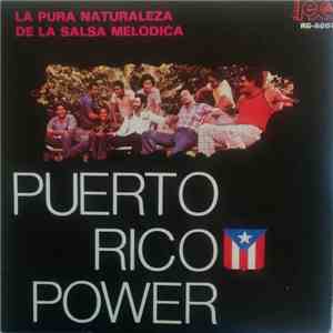 Puerto Rican Power - La Pura Naturaleza De La Salsa flac album