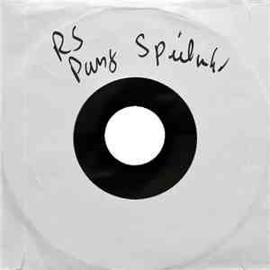 Rammstein - Pussy / Spieluhr flac album