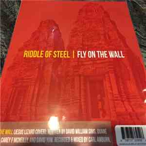 Riddle Of Steel / Traindodge - Fly On The Wall / Robowindows flac album