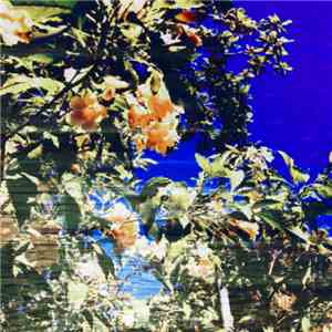 Skytone - Dreaming flac album