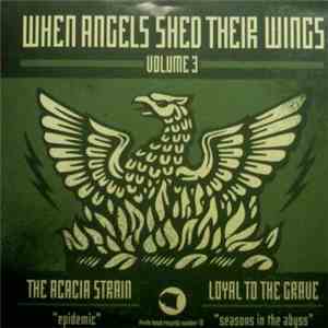 The Acacia Strain / Loyal To The Grave - When Angels Shed Their Wings Volume 3 flac album